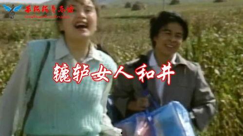 辘轳女人和井电视剧,探寻民间生活的诗意与坚韧