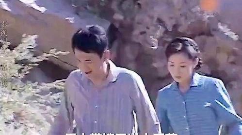 上门女婿电视剧全集,逆袭之路，爱情与事业的抉择