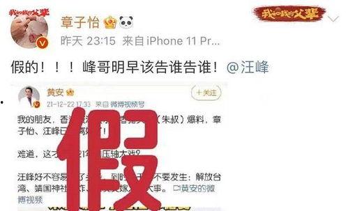 移民公司爆料吃瓜,吃瓜群众揭秘移民行业黑幕