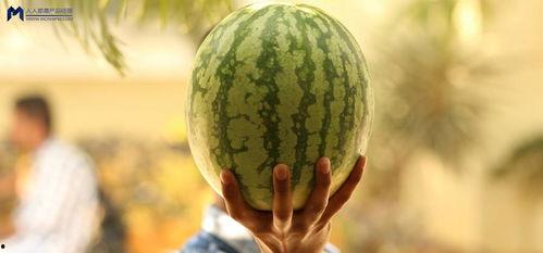 娱乐圈可以吃瓜,揭秘明星幕后故事，一起吃瓜！