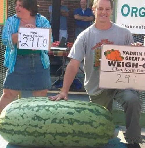 吃瓜群众在七零 穿书赵媛,赵媛的奇幻之旅